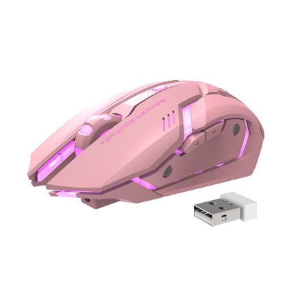 RGB Wireless Gaming Mouse
