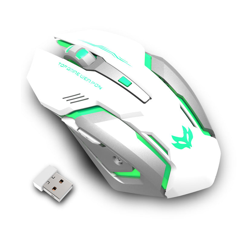 RGB Wireless Gaming Mouse