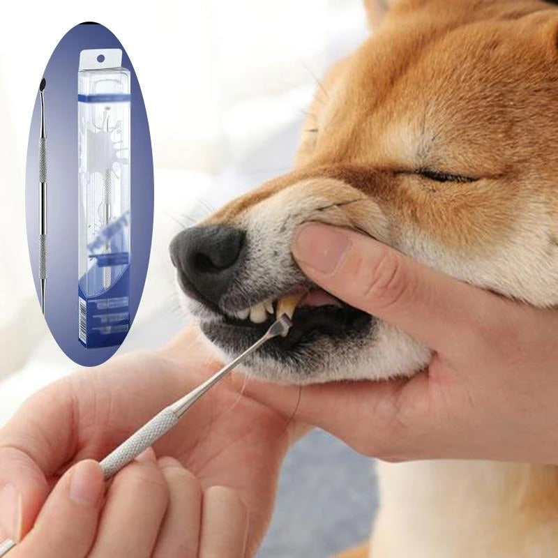 Pet Tooth Cleaning Kit