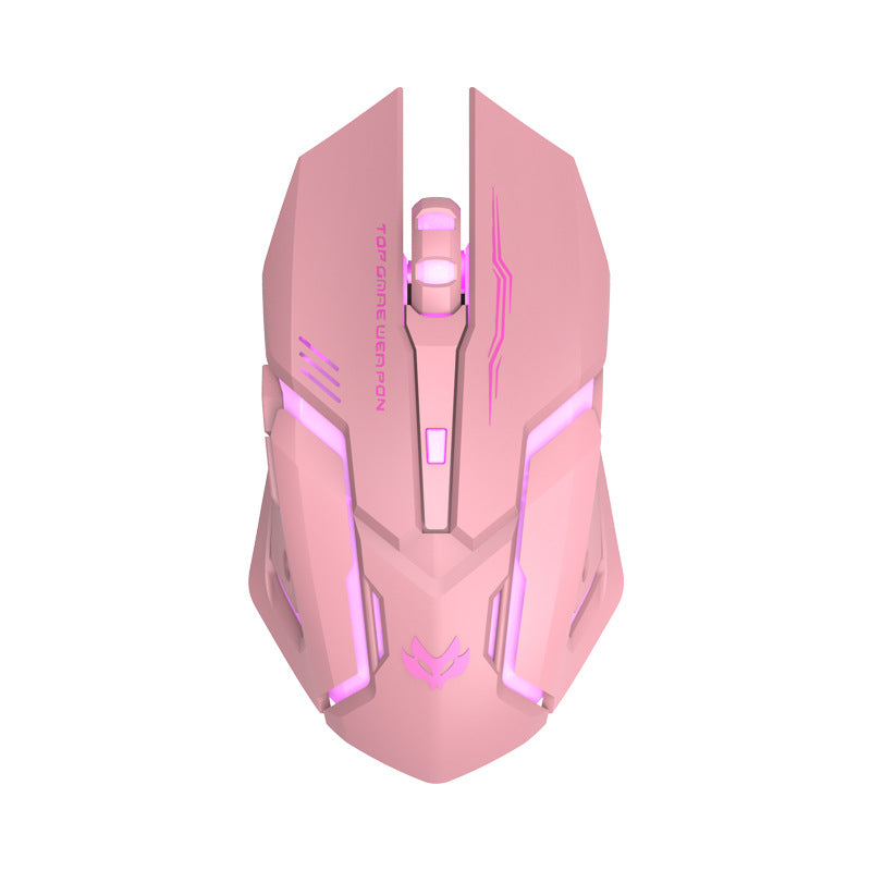 RGB Wireless Gaming Mouse