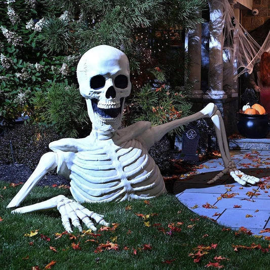Halloween Decorative Item Skull Skeleton Display