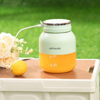 OSTMARS Mini Blender for Smoothies & Shakes