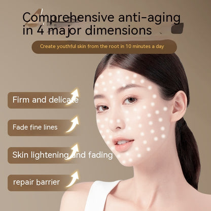 LED Beauty Face Mask