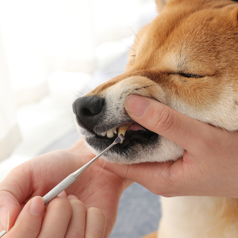 Pet Tooth Cleaning Kit